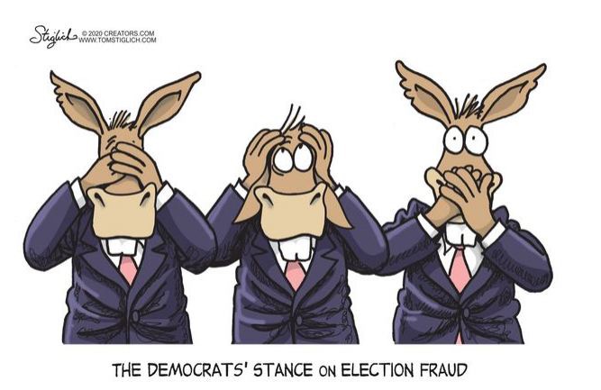 Lie, Cheat, Steal - The 2020 Election